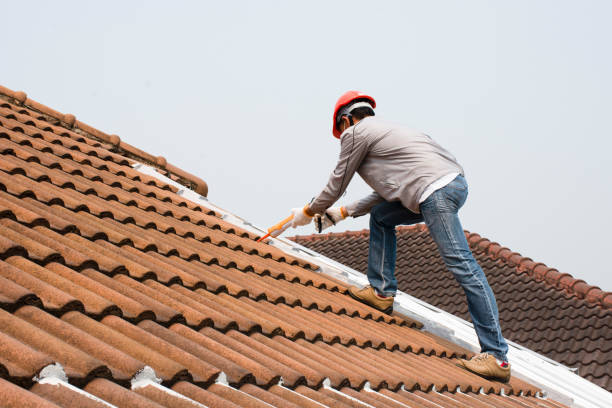 Best Skylight Installation and Repair  in Springdale, MD