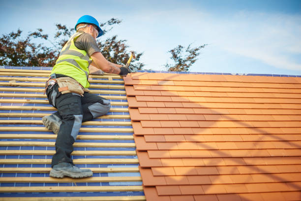 Best Steel Roofing  in Springdale, MD